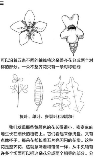 野外植物识别手册