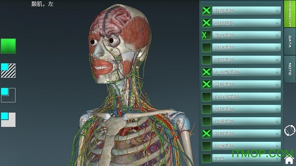 人体解剖学图集3d破解版