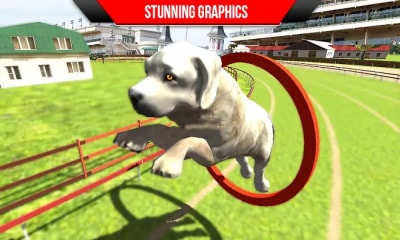 狗狗训练3D最新版