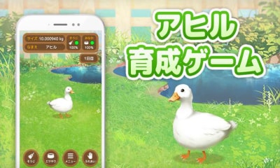 鸭子培养(Duck)手机版