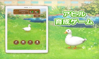 鸭子培养(Duck)手机版