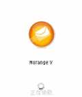 魔橙Morange V5.04 R3 中文版