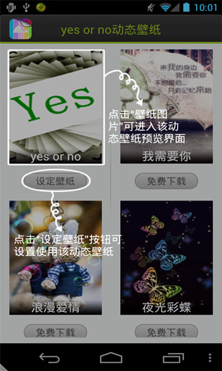 yes or no动态壁纸